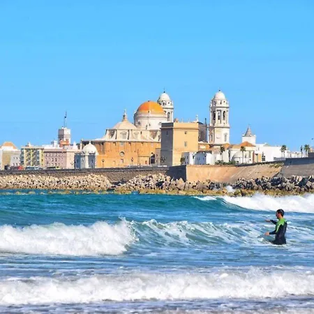 Hibiscos Little 加的斯