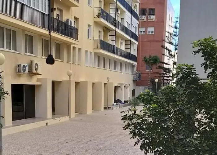 Hibiscos Little كاديز