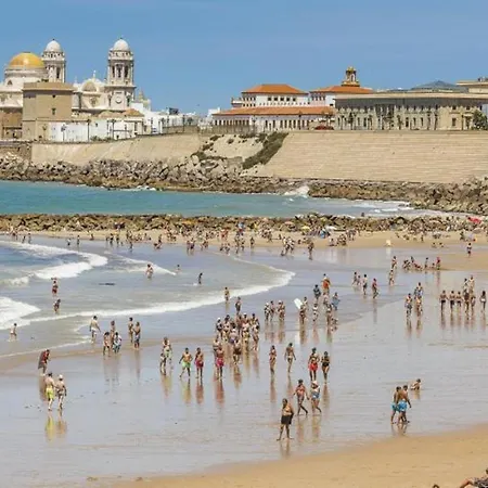 Hibiscos Little アパート *