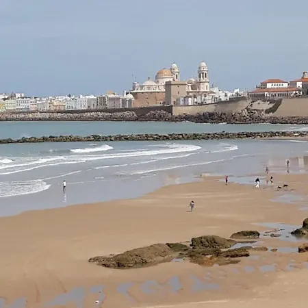 Hibiscos Little Daire Cadiz
