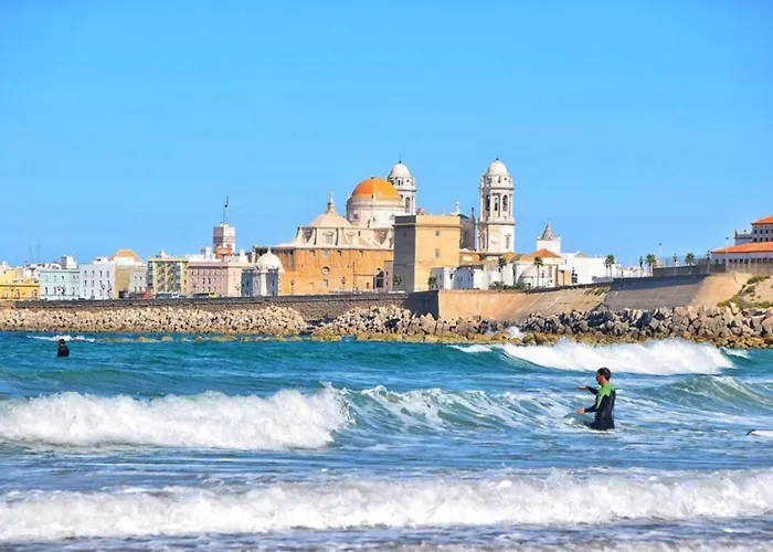 Hibiscos Little Cadiz